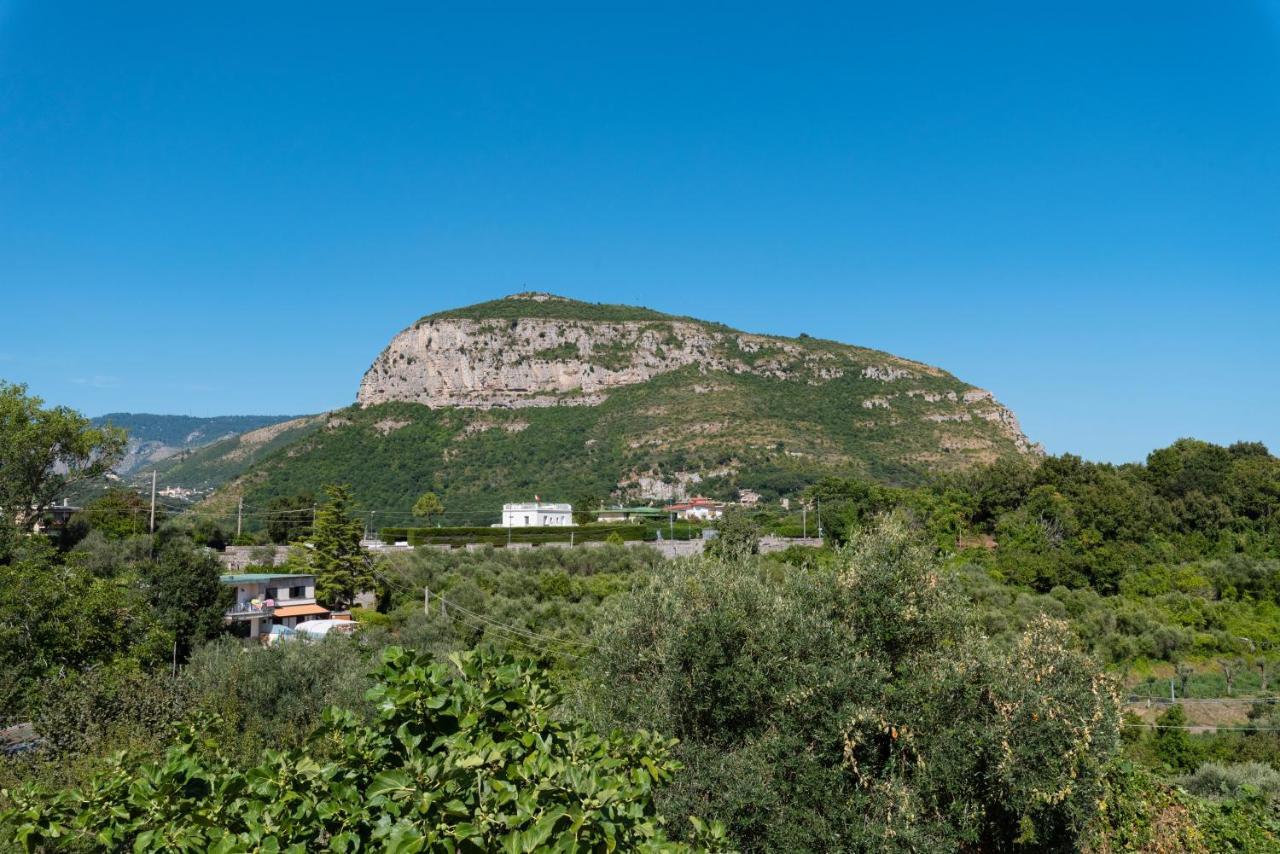 Villa Anna - De Vivo Realty Piano Di Sorrento Zewnętrze zdjęcie